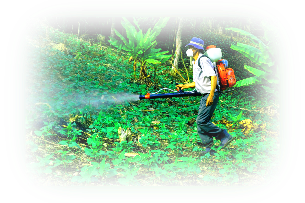 spraying